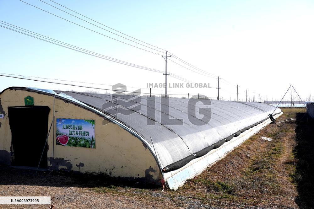 Agriculture Protects Against Cold Waves