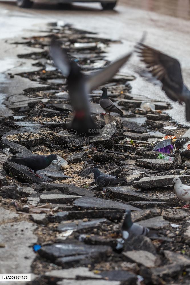 Israeli Military Operations - Tulkarem