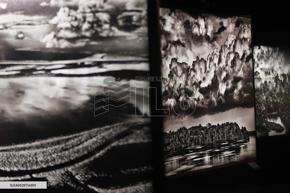 Sebastião Salgado At Amazonia Exhibition - Mexico City
