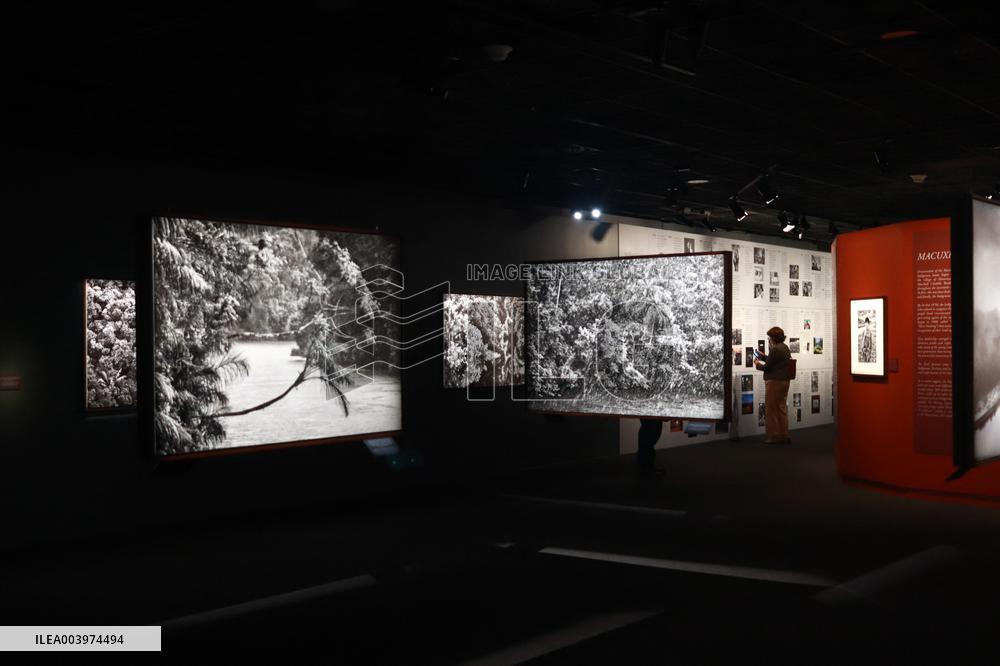 Sebastião Salgado At Amazonia Exhibition - Mexico City