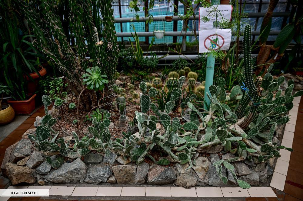 Greenhouses of Zaporizhzhia Botanical Garden restored after Russian attacks