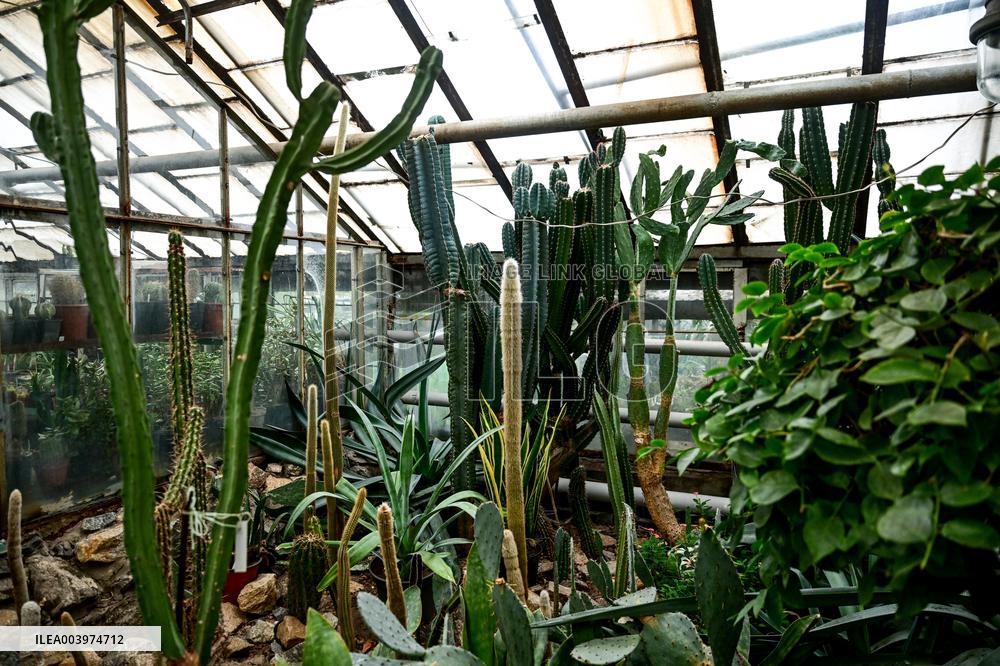 Greenhouses of Zaporizhzhia Botanical Garden restored after Russian attacks
