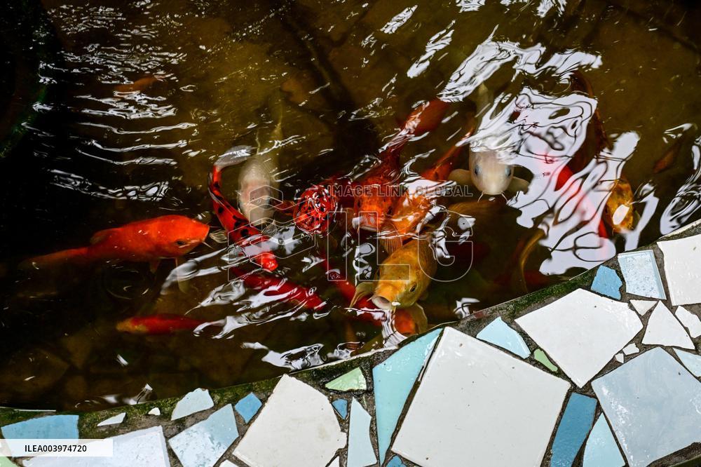 Greenhouses of Zaporizhzhia Botanical Garden restored after Russian attacks