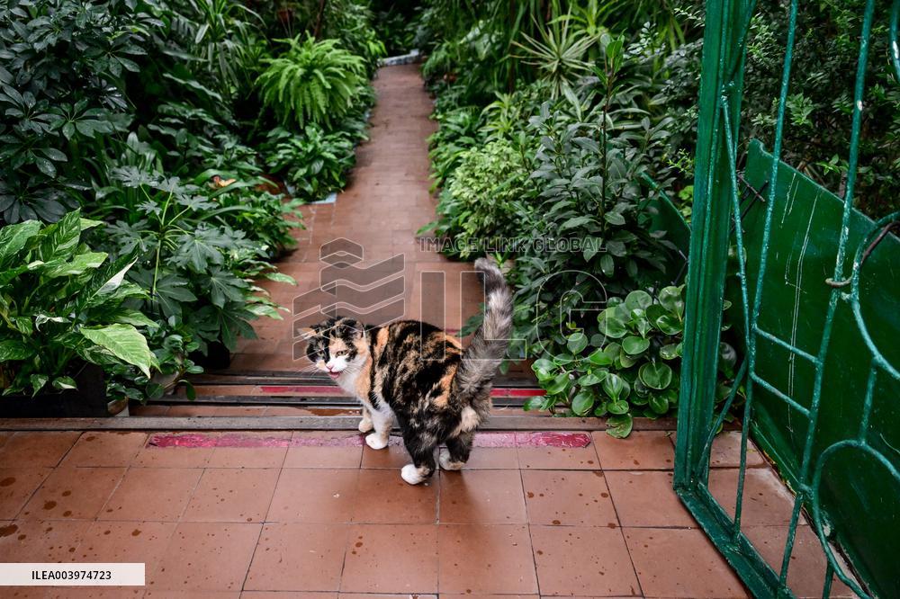 Greenhouses of Zaporizhzhia Botanical Garden restored after Russian attacks