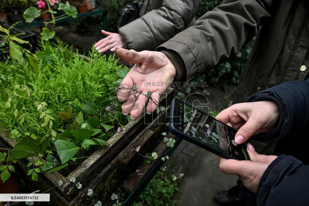 Greenhouses of Zaporizhzhia Botanical Garden restored after Russian attacks