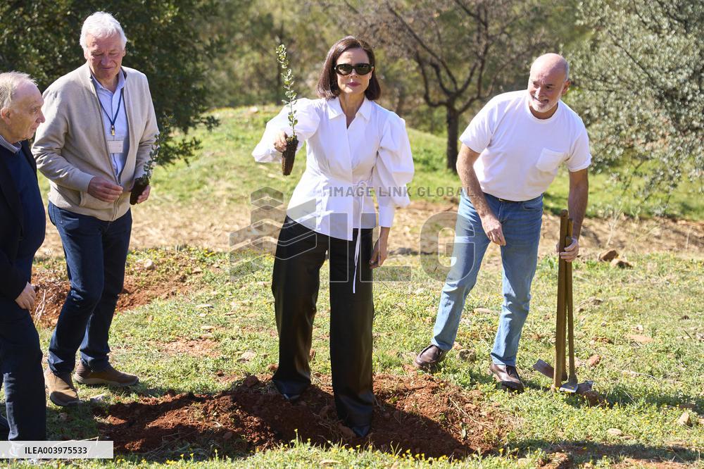 Goya Awards - Maribel Verdu, Leonor Watling And Aitana Sanchez-Gijon Plant Holm Oak Trees