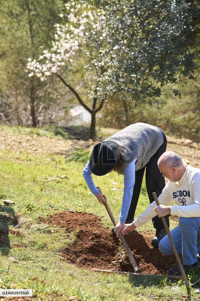 Goya Awards - Maribel Verdu, Leonor Watling And Aitana Sanchez-Gijon Plant Holm Oak Trees