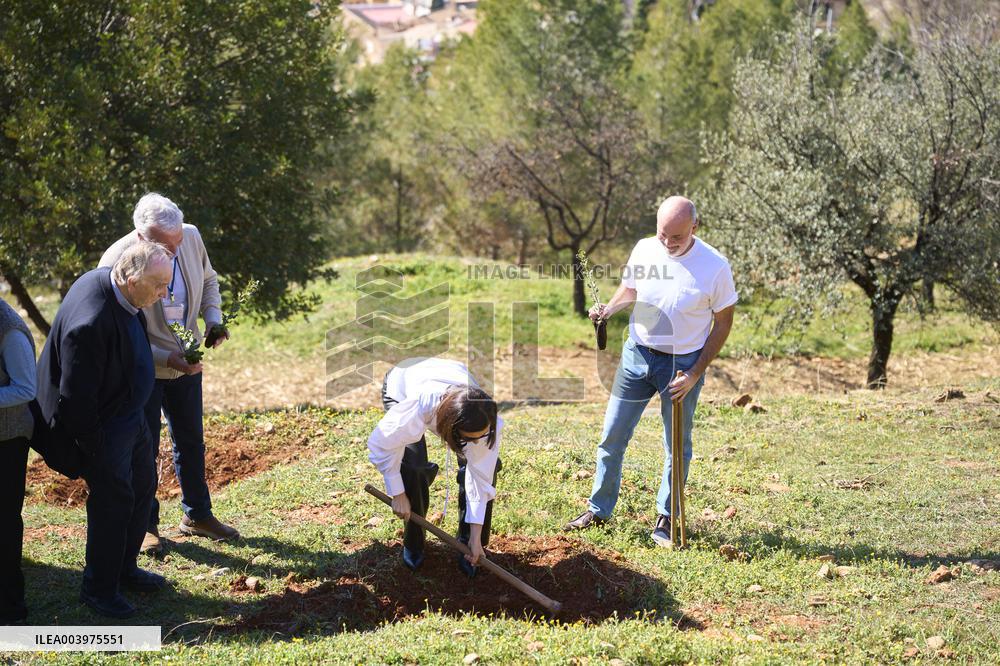 Goya Awards - Maribel Verdu, Leonor Watling And Aitana Sanchez-Gijon Plant Holm Oak Trees