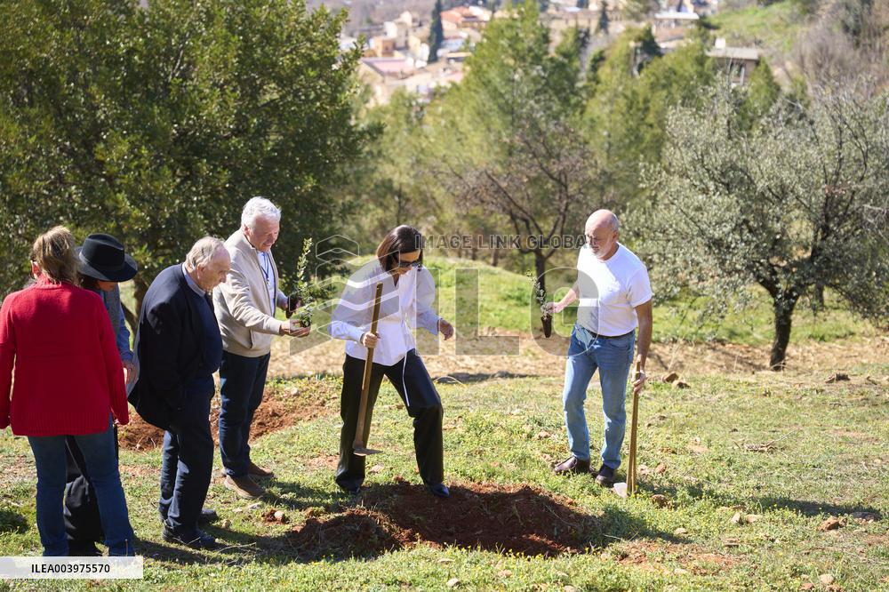 Goya Awards - Maribel Verdu, Leonor Watling And Aitana Sanchez-Gijon Plant Holm Oak Trees