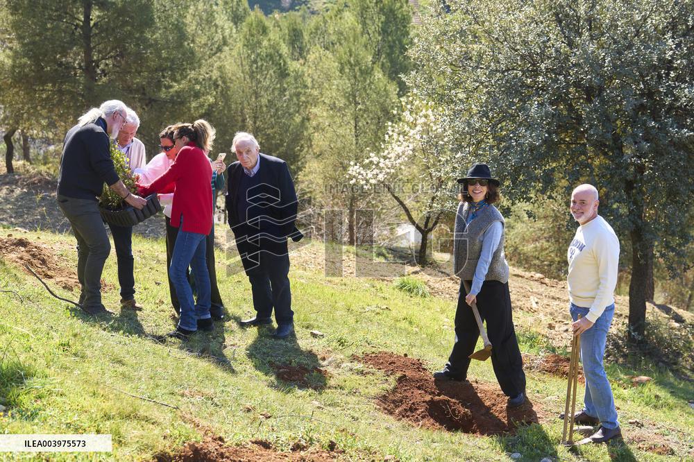 Goya Awards - Maribel Verdu, Leonor Watling And Aitana Sanchez-Gijon Plant Holm Oak Trees