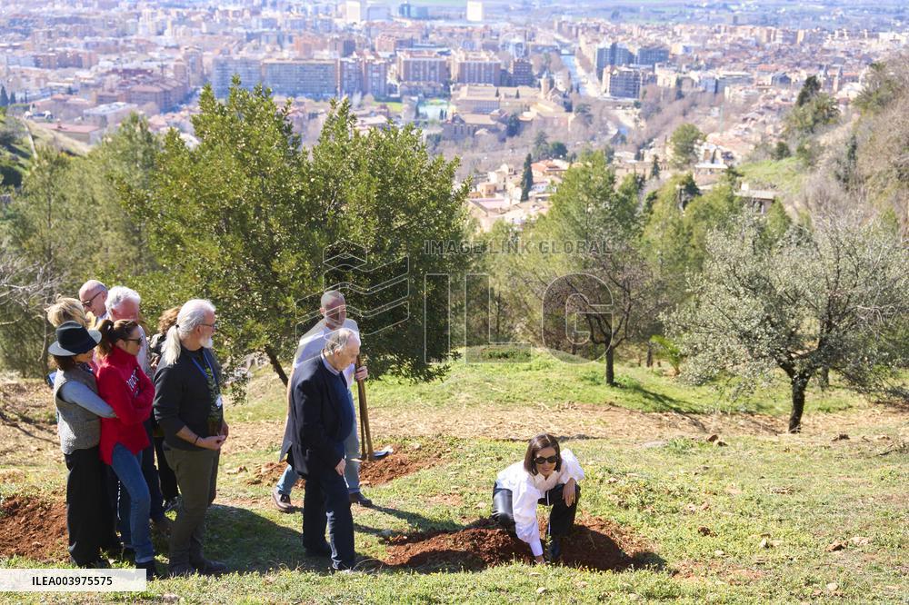 Goya Awards - Maribel Verdu, Leonor Watling And Aitana Sanchez-Gijon Plant Holm Oak Trees