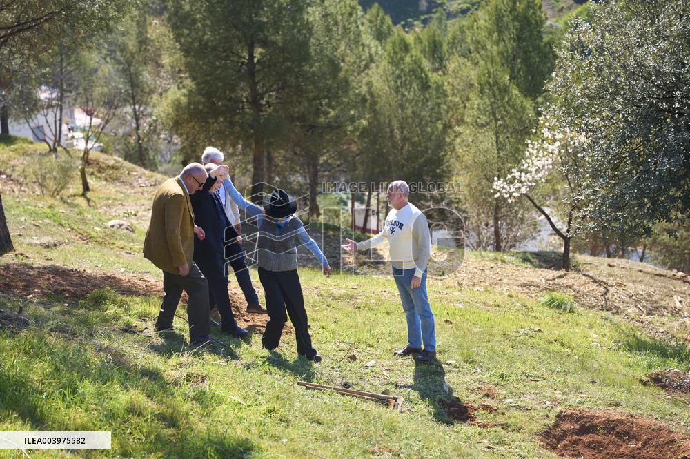 Goya Awards - Maribel Verdu, Leonor Watling And Aitana Sanchez-Gijon Plant Holm Oak Trees