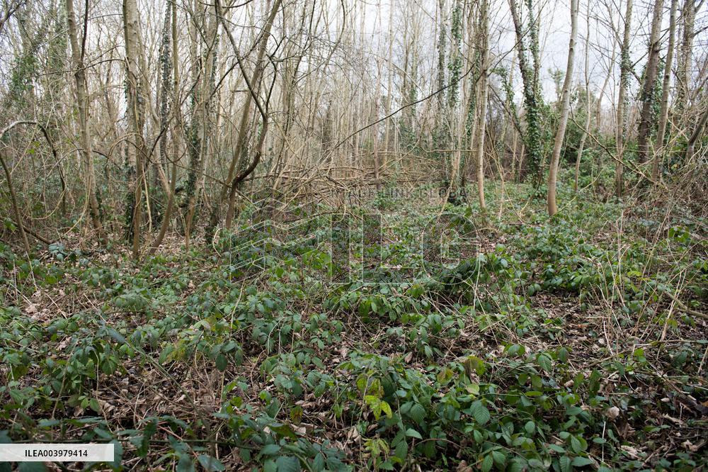 Schoolgirl Found Dead In A Wood - Essonne
