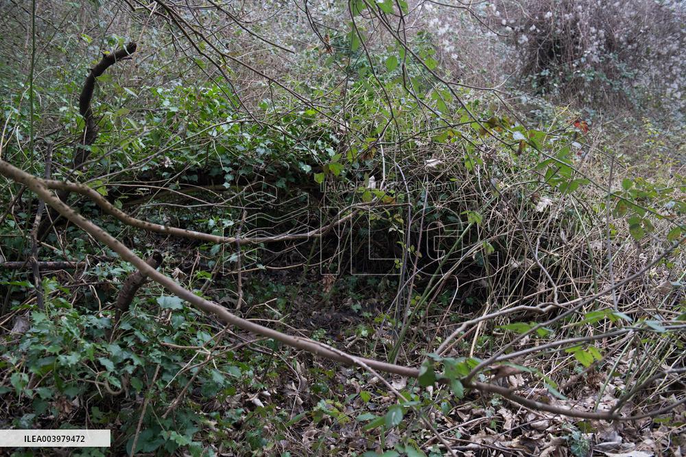 Schoolgirl Found Dead In A Wood - Essonne