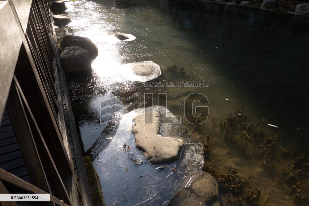 Cold Wave Hit Shanghai