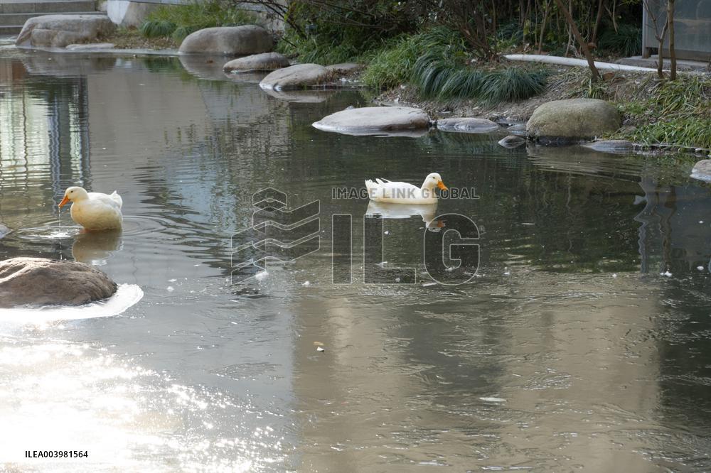 Cold Wave Hit Shanghai