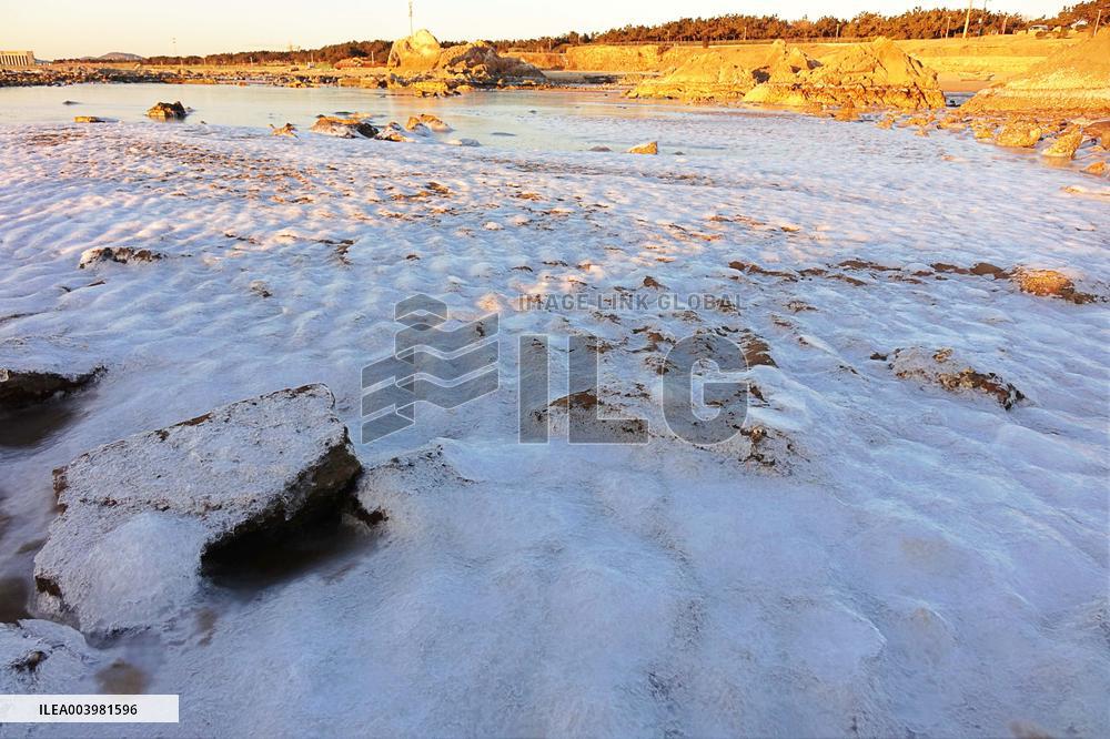 Cold Wave Hit Qingdao