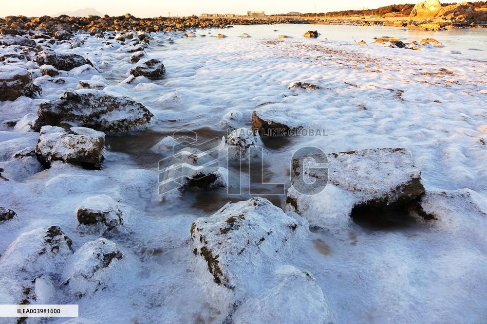 Cold Wave Hit Qingdao