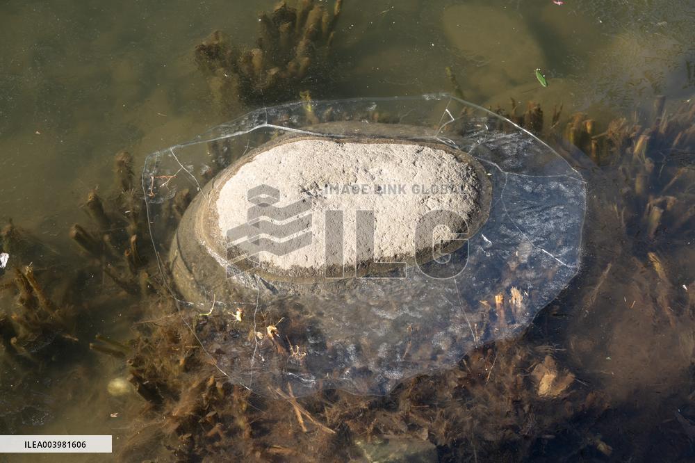 Cold Wave Hit Shanghai