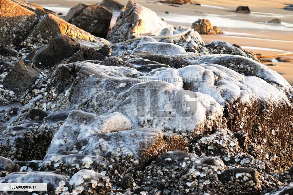 Cold Wave Hit Qingdao