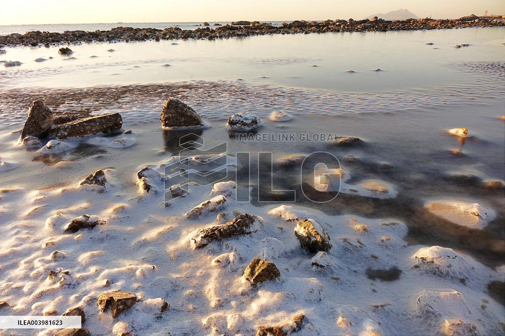 Cold Wave Hit Qingdao