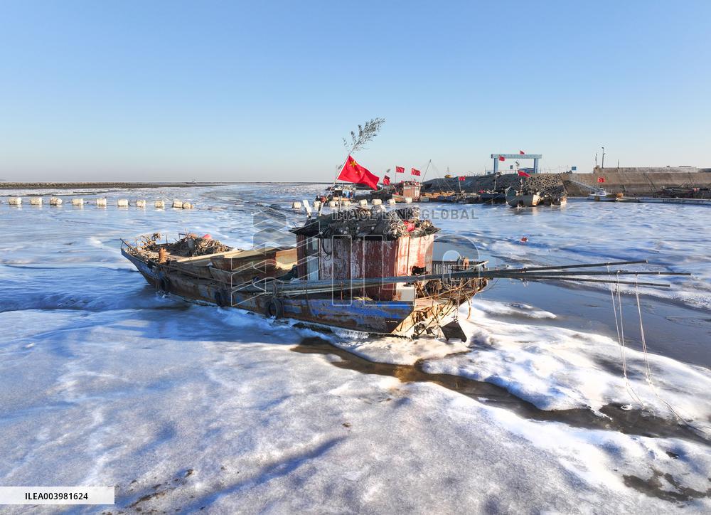 Cold Wave Hit Lianyungang