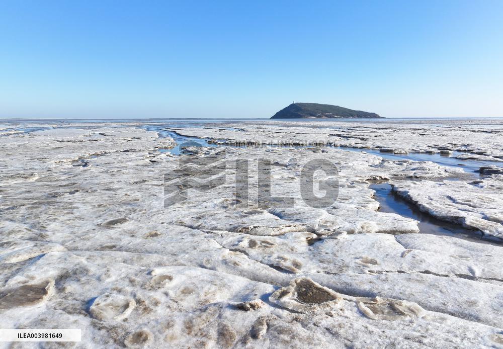 Cold Wave Hit Lianyungang