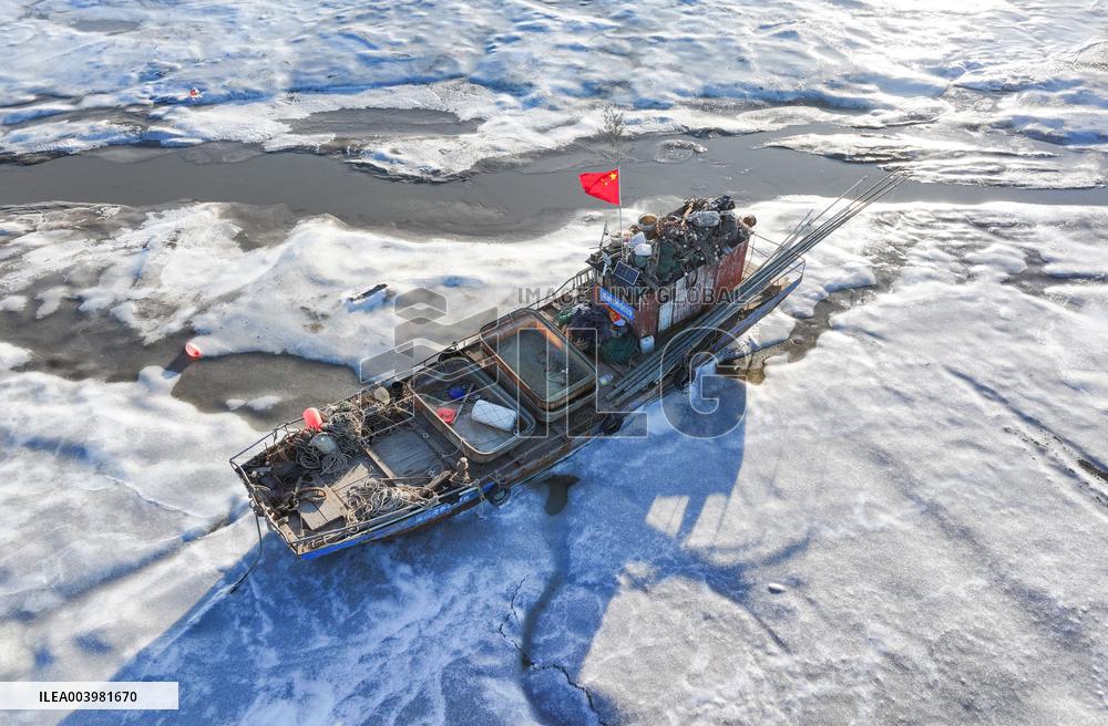 Cold Wave Hit Lianyungang