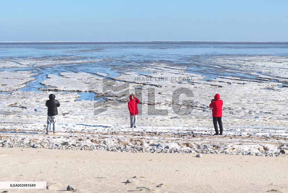 Cold Wave Hit Lianyungang