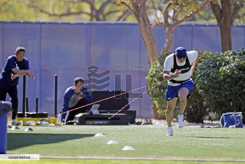 Baseball: Shohei Ohtani