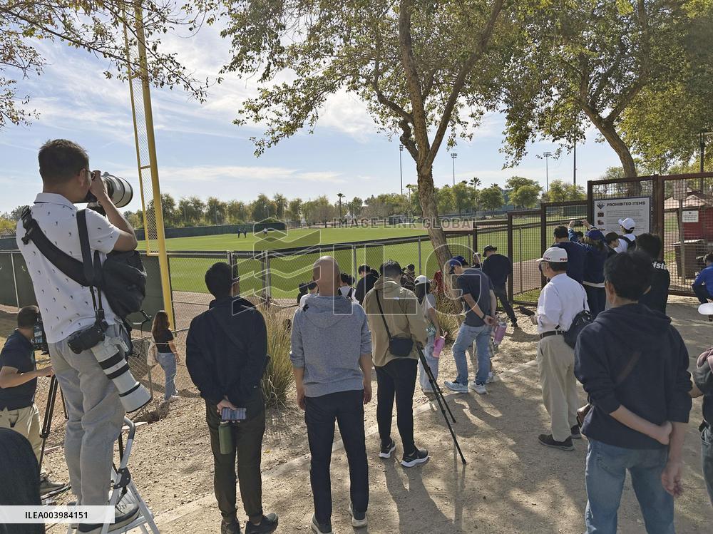 Baseball: Shohei Ohtani