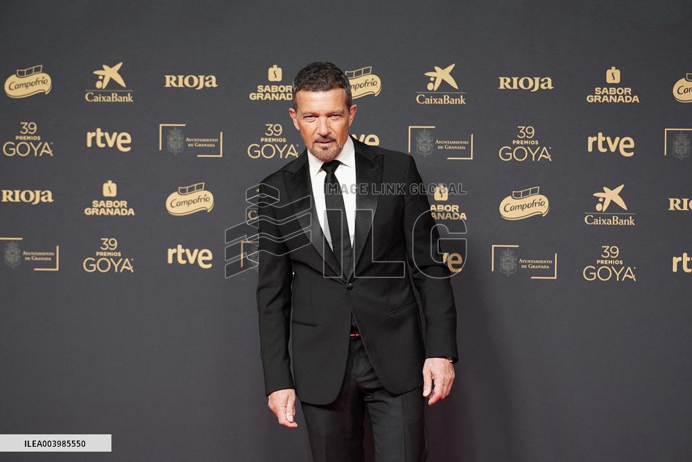 Goya Awards - Granada