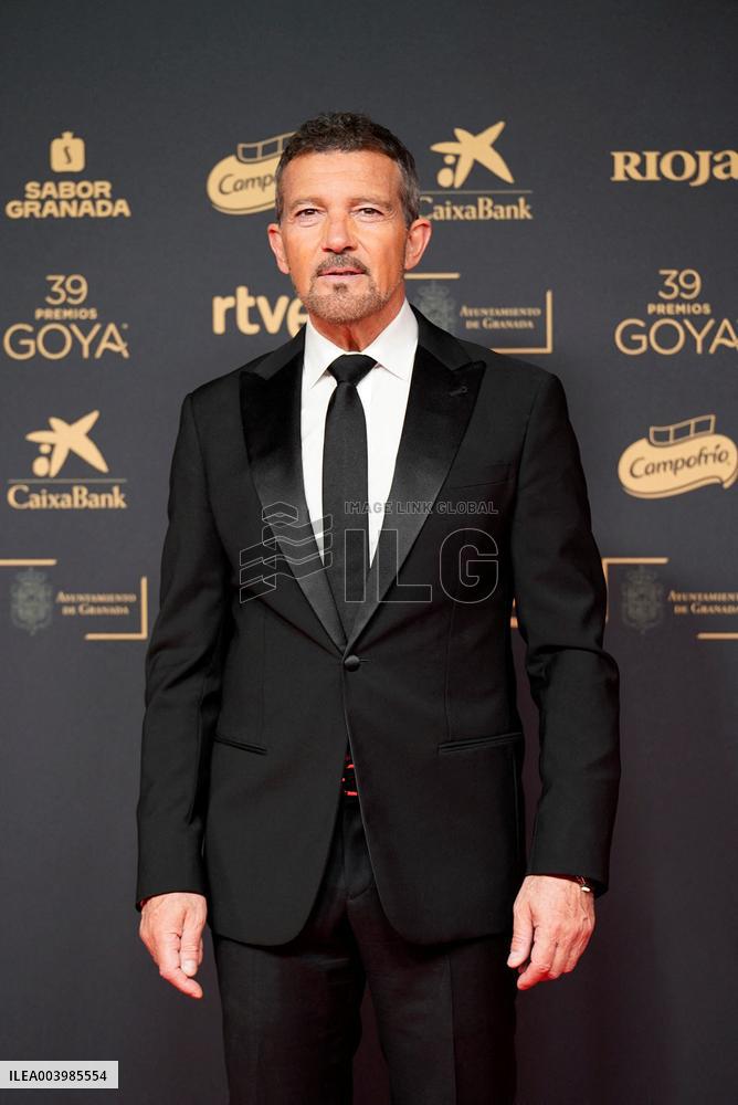 Goya Awards - Granada