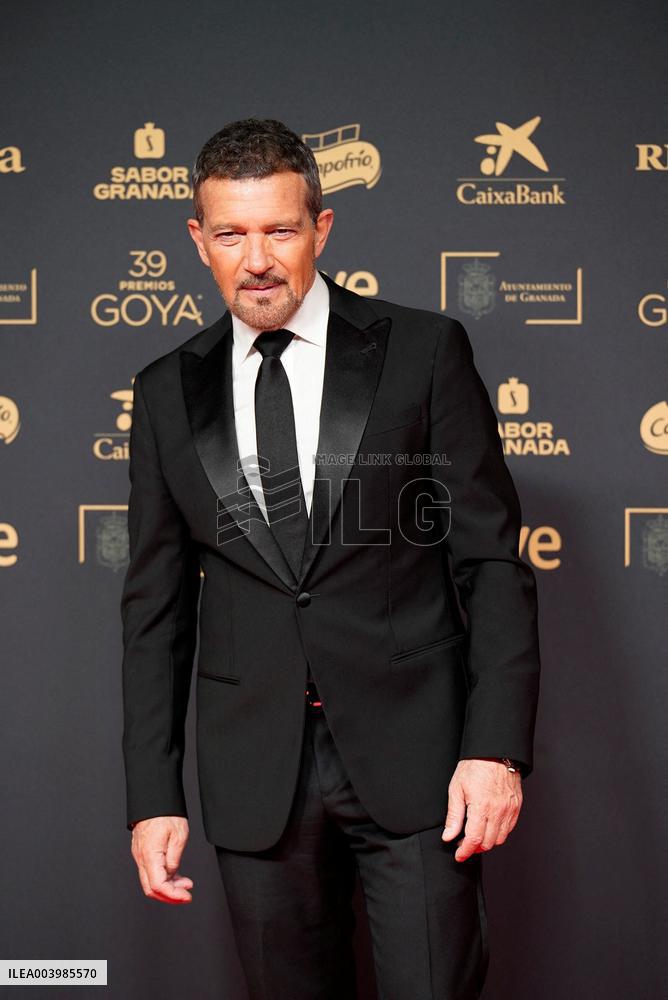 Goya Awards - Granada