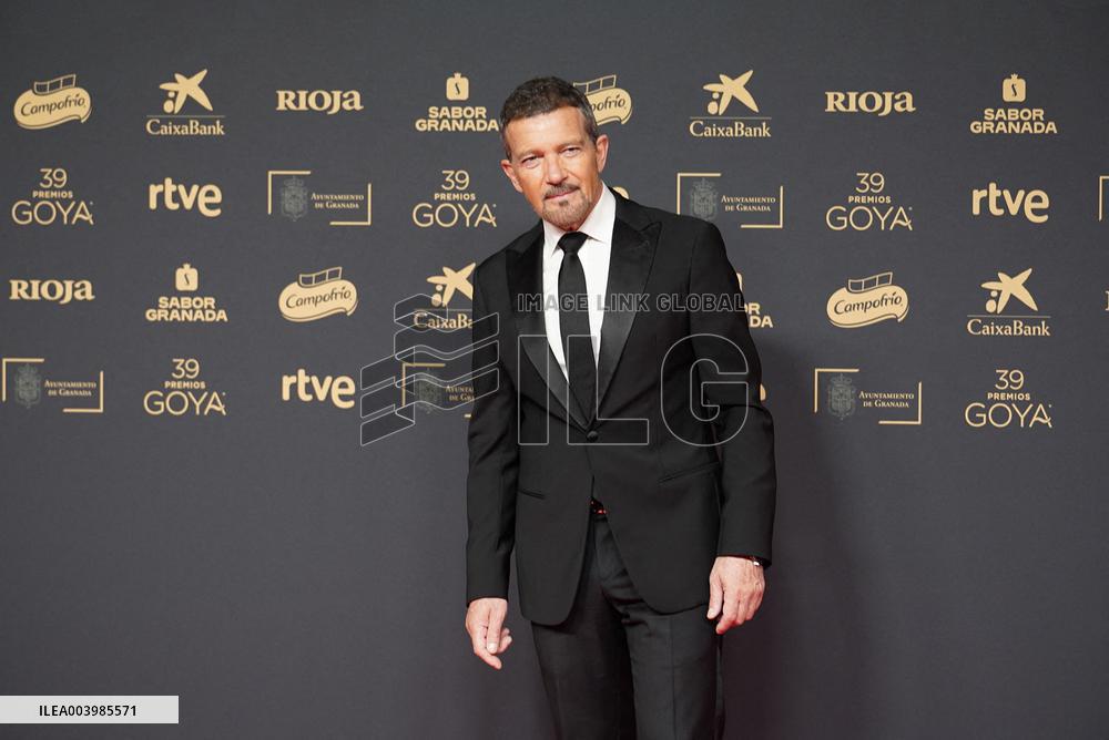 Goya Awards - Granada