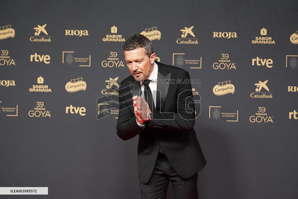 Goya Awards - Granada