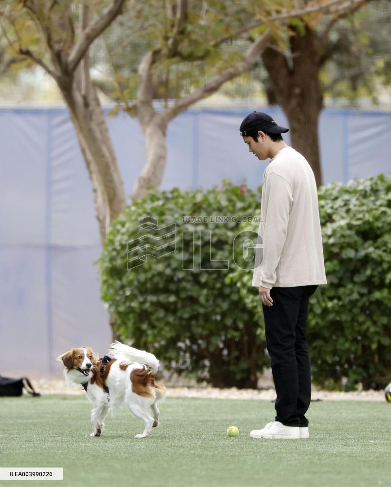 Baseball: Shohei Ohtani