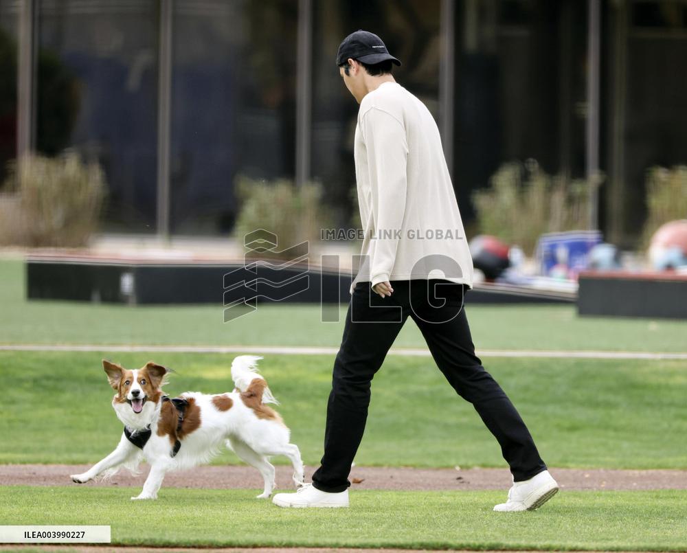 Baseball: Shohei Ohtani