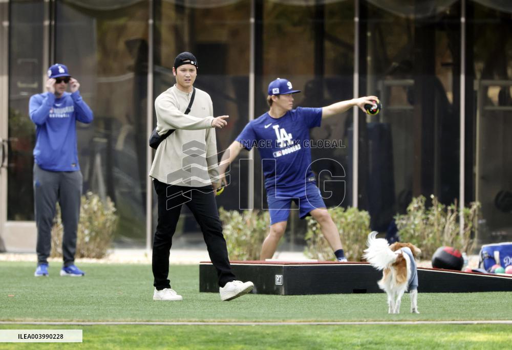 Baseball: Shohei Ohtani