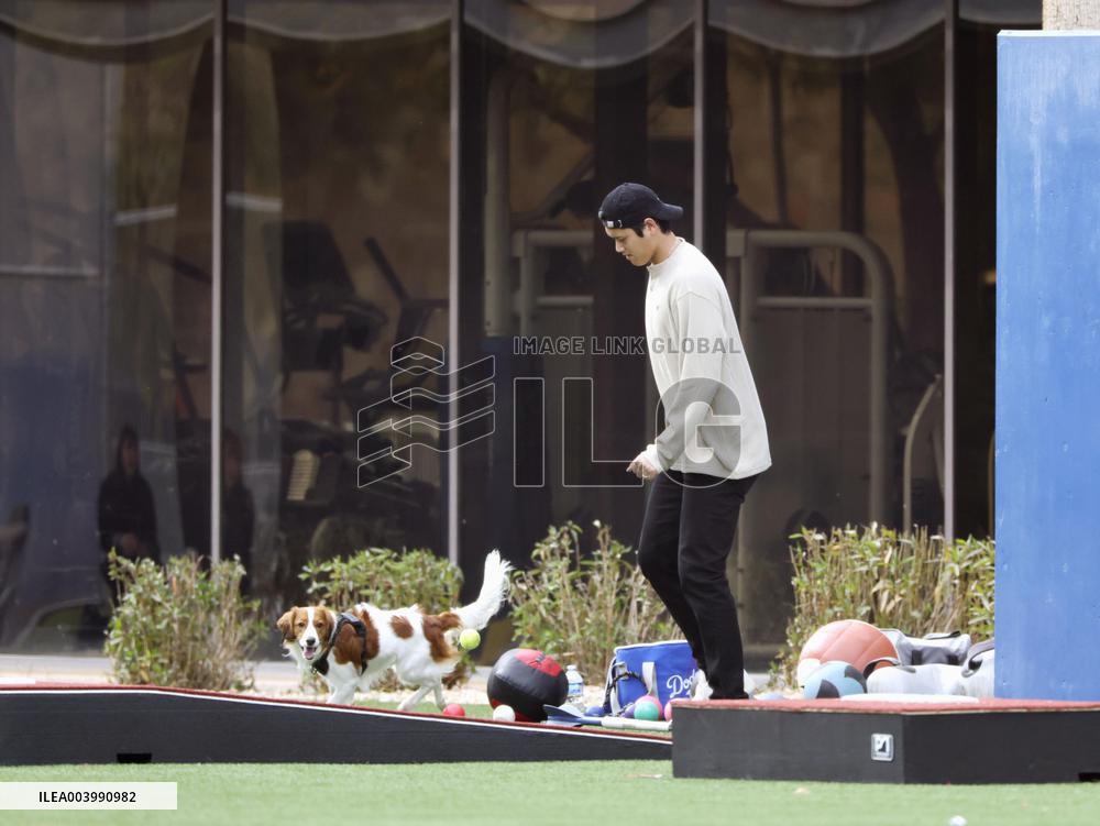 Baseball: Shohei Ohtani