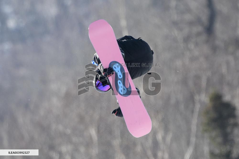 Asian Winter Games - Freestyle Skiing