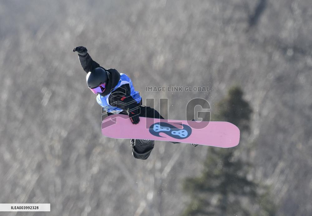 Asian Winter Games - Freestyle Skiing