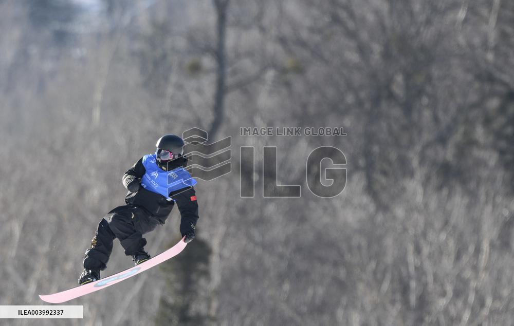 Asian Winter Games - Freestyle Skiing