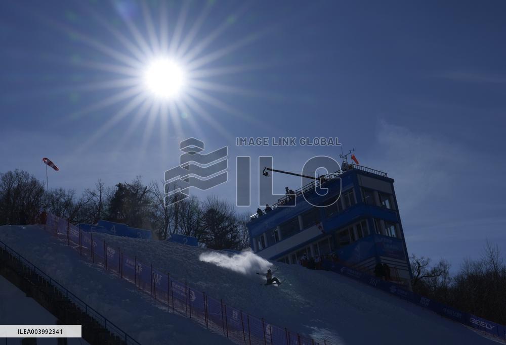 Asian Winter Games - Freestyle Skiing