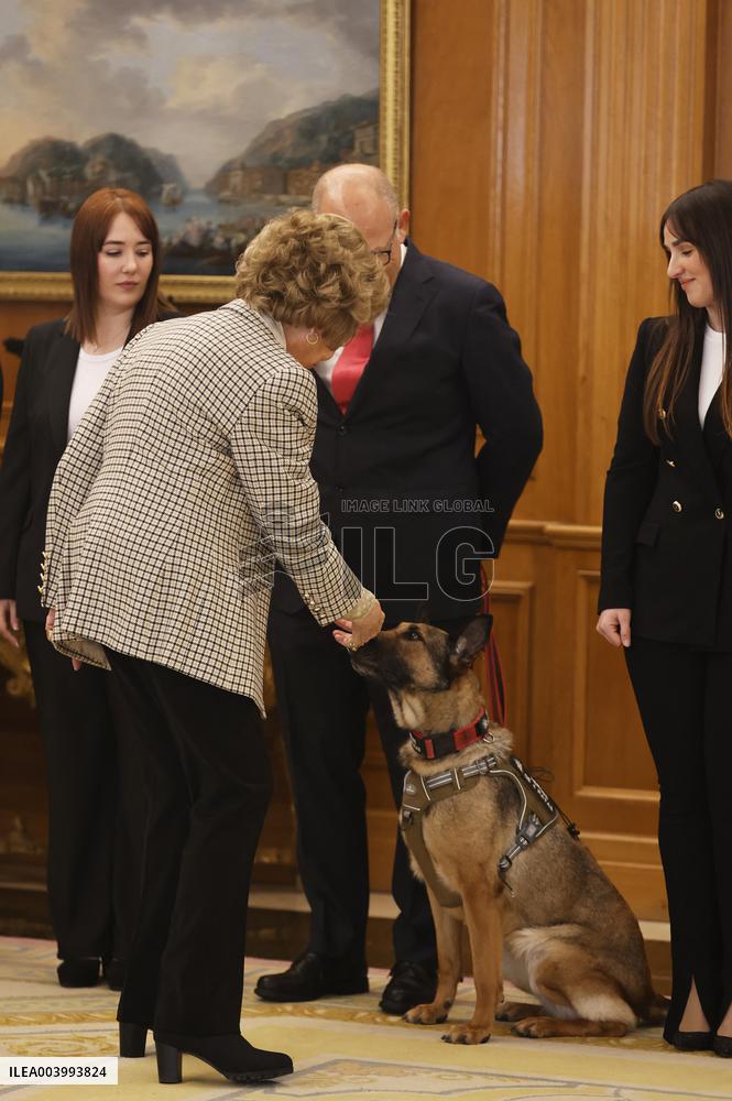 Queen Sofia Meets Héroes de 4 Patas Representatives - Madrid