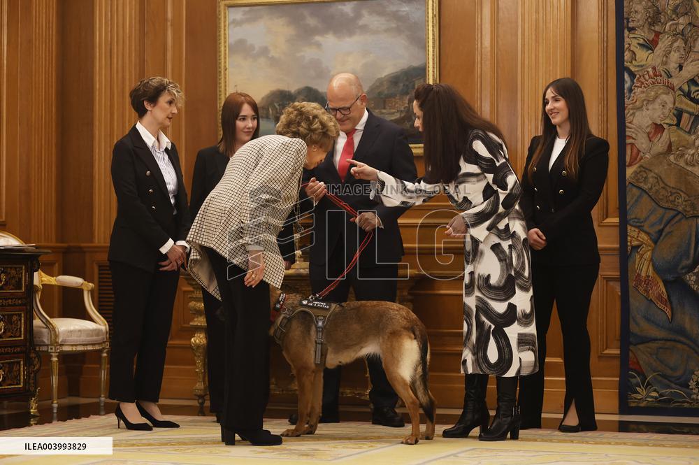 Queen Sofia Meets Héroes de 4 Patas Representatives - Madrid