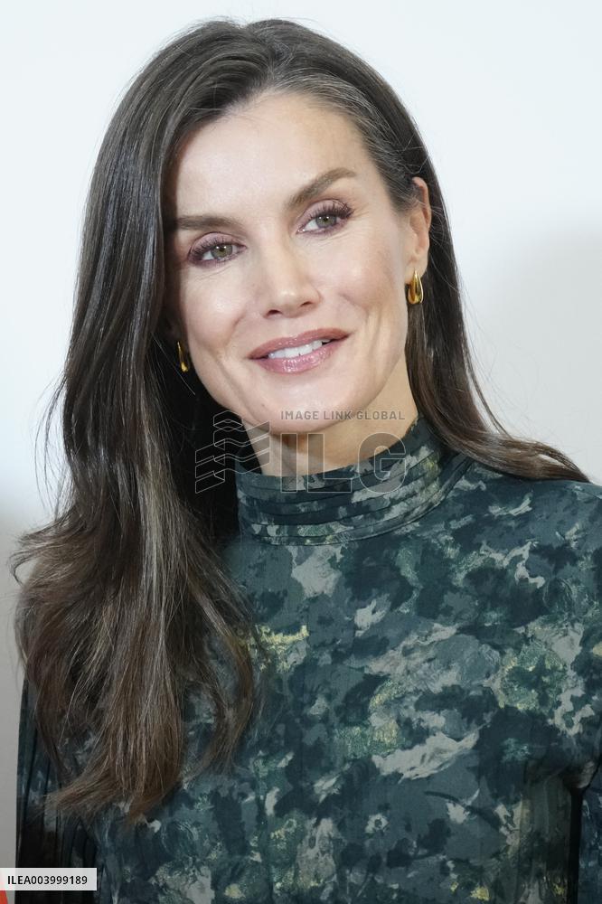 Queen Letizia Presides Over FRACE Foundation Awards - Madrid
