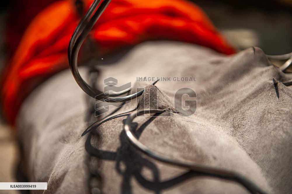 Thaipusam Procession - Indonesia