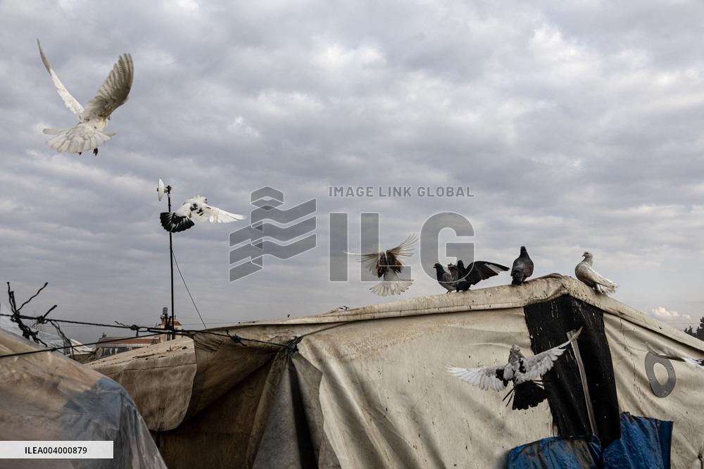 13 Years After, Displaced Persons Lament Living Conditions - Syria