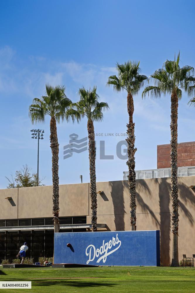 Baseball: Shohei Ohtani